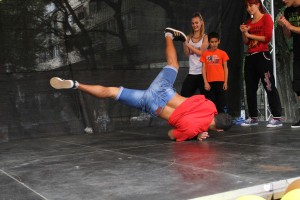 Obeležavanje Dana suncokreta