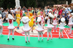 Obeležavanje Dana suncokreta