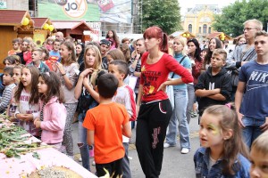 Obeležavanje Dana suncokreta