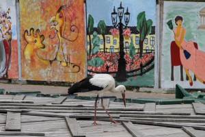 Neobični gosti u centru grada