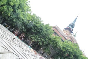 Neobični gosti u centru grada