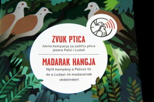 Najavljen projekat "Zvuk ptica"