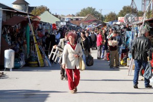 Promocija vodiča za hranu životinjskog porekla