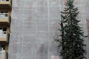 Sunčana jesen života