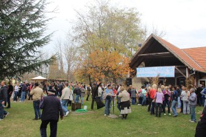 7. festival mlade rakije