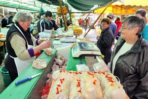Promocija vodiča za dobru poizvođačku i higijensku praksu u proizvodnji hrane životinjskog porekla