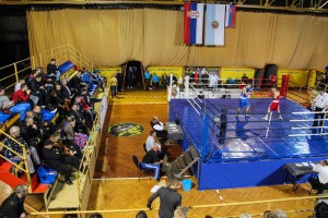 Boks: Spartak - Komarno sharks (Boxing One liga)