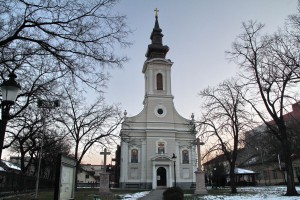 Tradicionalna seča badnjaka i povorka