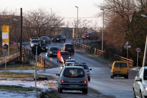 Tradicionalna seča badnjaka i povorka