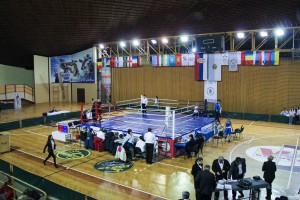 IV Kup nacija za bokserke (2. dan)