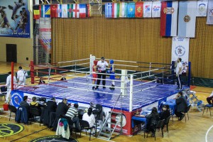 IV Kup nacija za bokserke (2. dan)