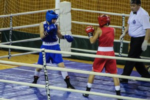 IV Kup nacija za bokserke (2. dan)