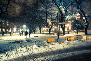 Snežno bela noć u Subotici