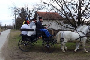 Stari bunjevački običaj: "Maska svatovi"