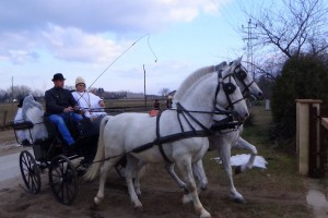 Stari bunjevački običaj: "Maska svatovi"
