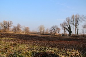 Fudbalski tereni pored Gradskog stadiona