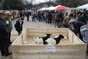 Otvaranje 7. Butkicijade i Usrkšnjeg vašara