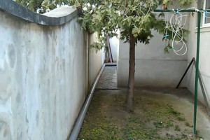 Lisica u porodičnom domu