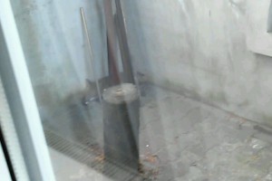 Lisica u porodičnom domu