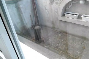 Lisica u porodičnom domu