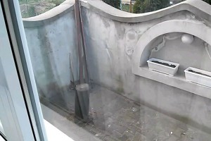 Lisica u porodičnom domu