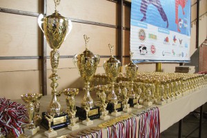 16. Super Enpi karate Kup