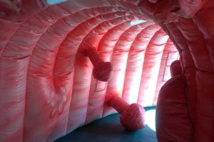 Pomocija Nacionalnog programa ranog otkrivanja raka debelog creva