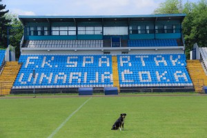 Press FK "Spartak" povodom meča 27. kola JSL protiv Partizana