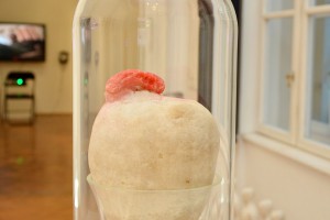 Noć muzeja 2015 - multimedijalna izložba Maje Rakočević Cvijanov