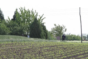 Sa lica mesta - dvostruko ubistvo u porodičnoj kući