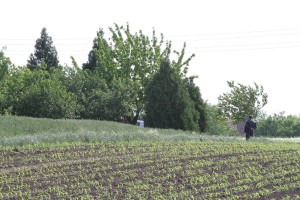 Sa lica mesta - dvostruko ubistvo u porodičnoj kući