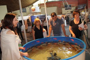 9. Međunarodni i regionalni sajam privrede "SuSajam 2015"