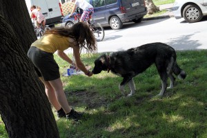 Otvaranje sajma "Ukusi tradicije"