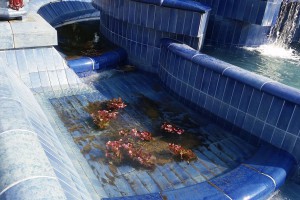 Obilazak oštećene fontane