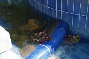 Obilazak oštećene fontane