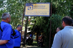 Pregovori u Agroseme Panonija AD