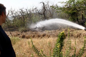 Požar uspešno saniran, vatrogasna četa na nivou zadatka