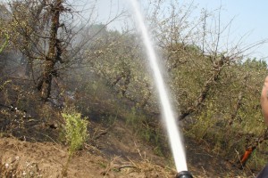 Požar uspešno saniran, vatrogasna četa na nivou zadatka