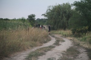 Migrant ubijen nožem u Bačkim Vinogradima