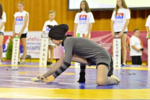 Svečano otvaranje Evropskog prvenstva u rvanju