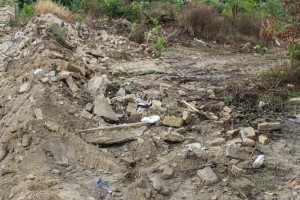 Radovi na raščišćavanju zemljišta na uglu Segedinskog puta i Pap Pala