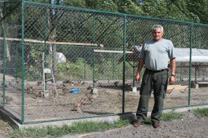 Puštanje uzgajanih fazana u prirodu