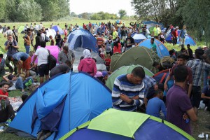 Krizna situacija sa migrantima: Granični prelazi Horgoš 1 i Horgoš 2