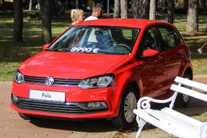 Manifestacija 26. Berbanski dani