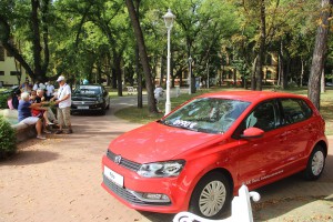 Manifestacija 26. Berbanski dani