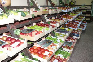 Berbanski dani u Hajdukovu