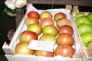 Berbanski dani u Hajdukovu