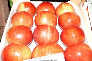 Berbanski dani u Hajdukovu