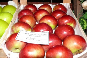 Berbanski dani u Hajdukovu