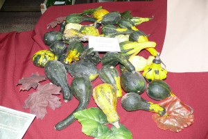 Berbanski dani u Hajdukovu